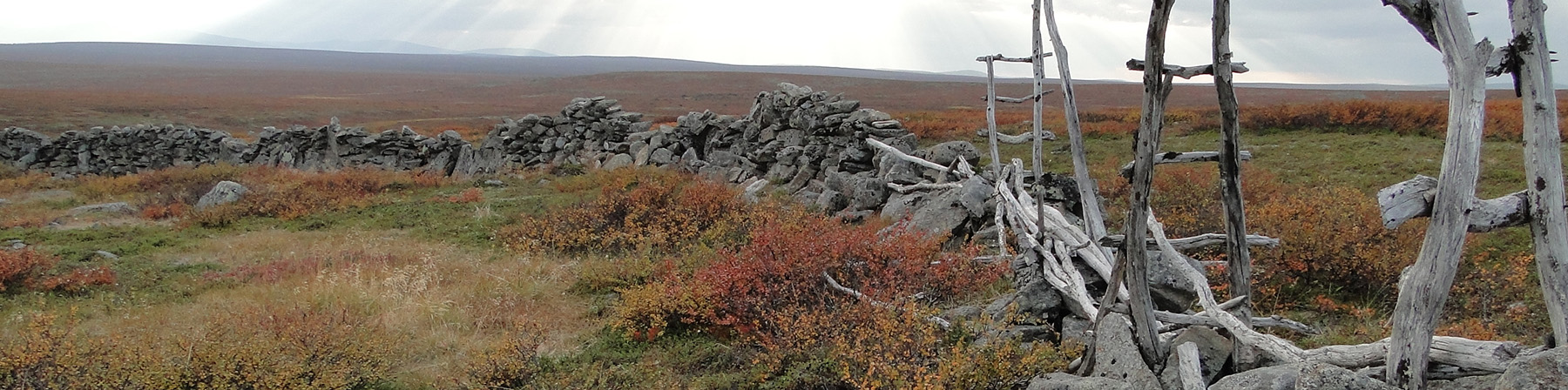 strict-nature-reserves-for-nature-research-mets-hallitus