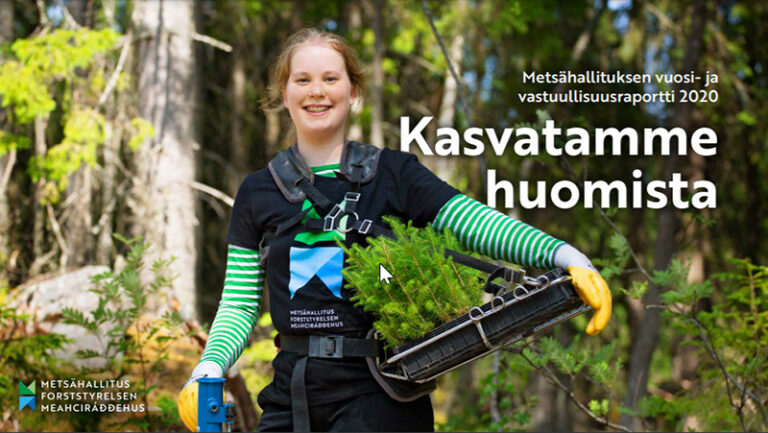 Kasvatamme Huomista - Metsähallituksen Vuosi- Ja Vastuullisuusraportti ...