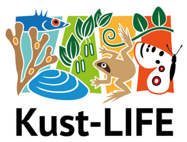 En ritad logo med alg, fisk, mussla, växter, groda och fjäril och tekst Kust-LIFE.