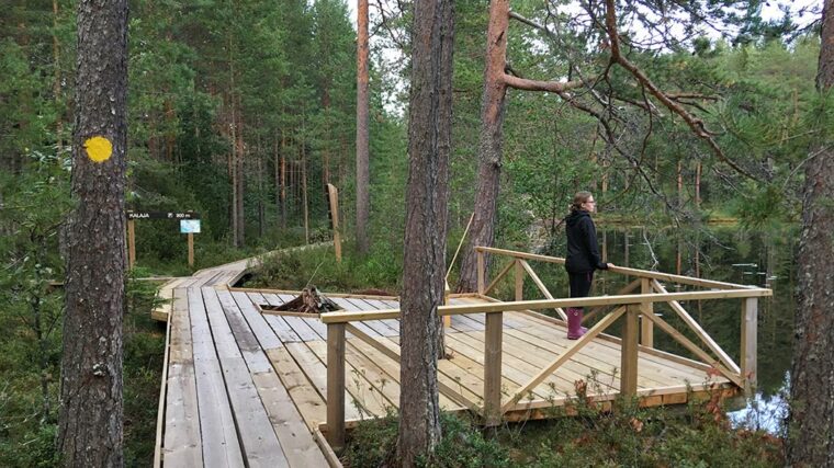 Nainen seisoo järven rantaan rakennetulla katselulavalla.