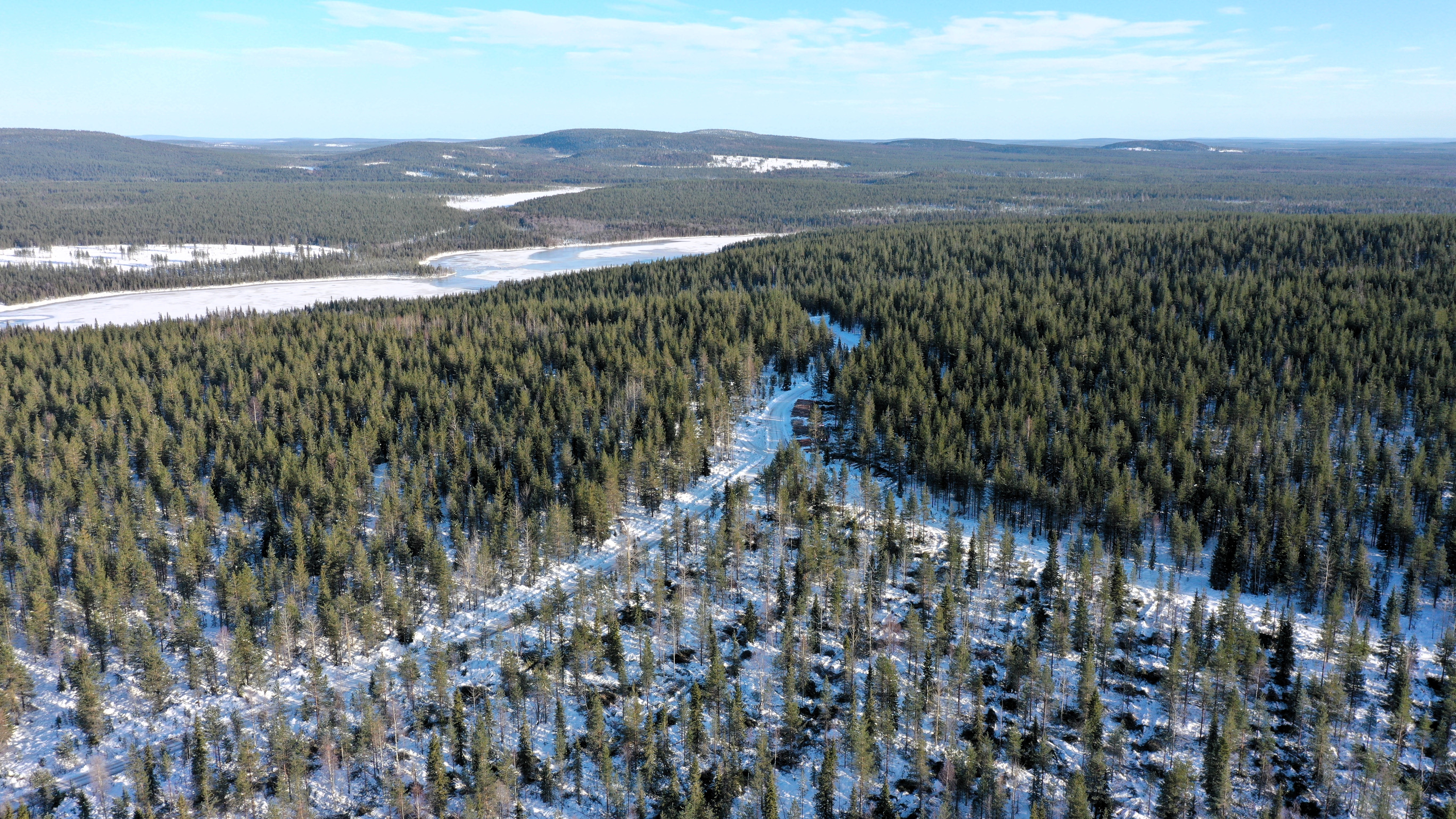 Ilmakuvaa talvisesta metsätä jossa etualalla tehty hakkuita. Kuva: Jouko Mettiäinen/Metsähallitus