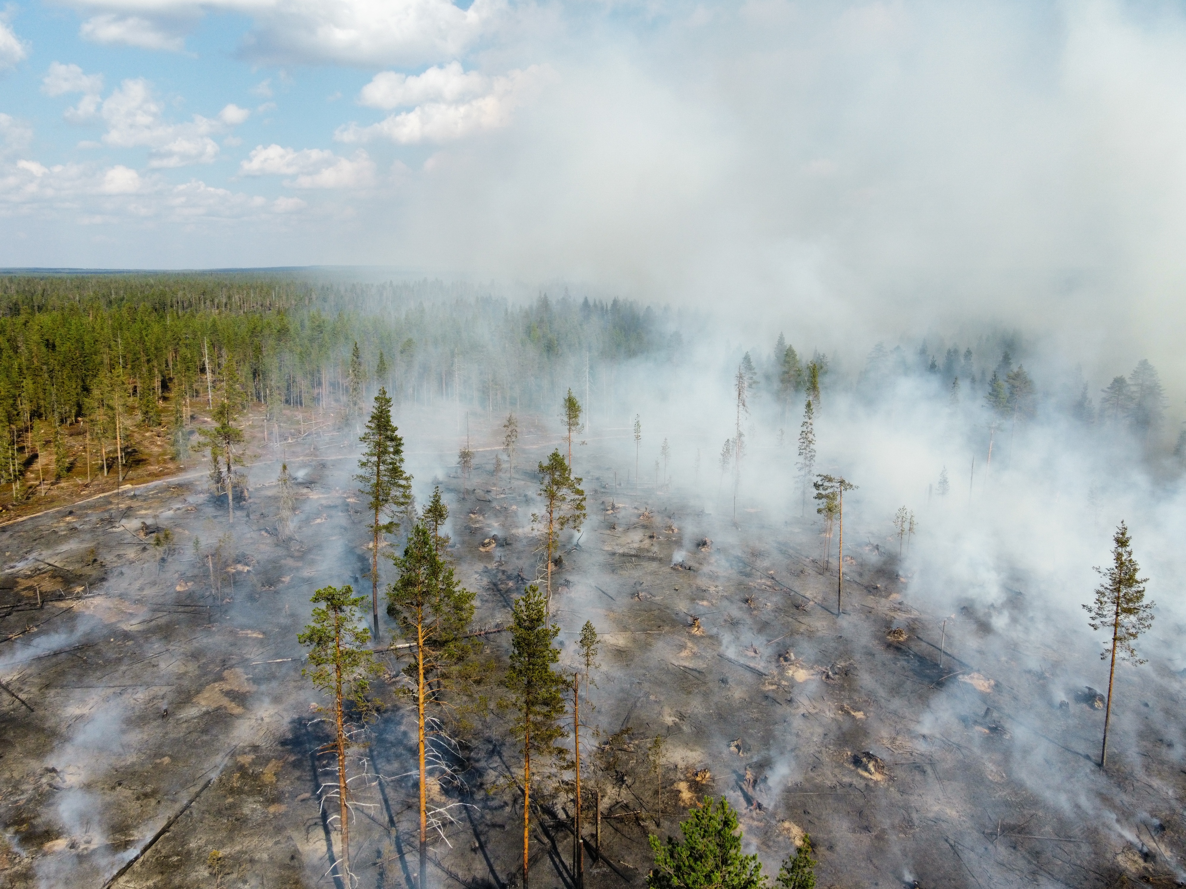 Monikäyttömetsän kulotusalue kuvattu dronella. Musta hiiltynyt maa, josta kohoaa savua ympäröiviin metsiin.