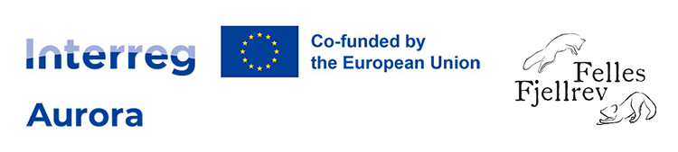 Tunnusrivi: Interreg Aurora, Co-funded by the European Union ja Felles Fjellrev.