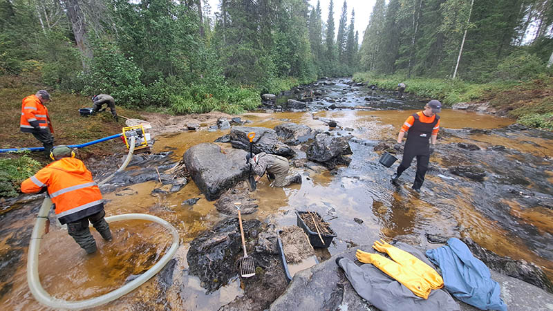 Raakkujen pelastamista joesta. Kuvassa on imuruoppauskalusto. Lisäksi etsitään eläviä raakkuja ja kerätään mäskiä sankoihin.