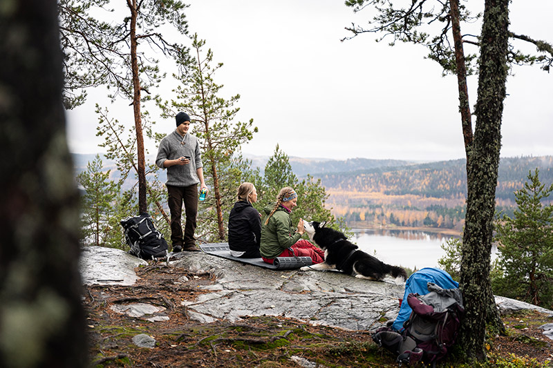 Människor och en hund sitter på en klippa på hösten.