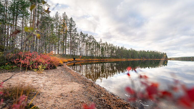 Retkeilijä kävelemässä syksyisellä rannalla.