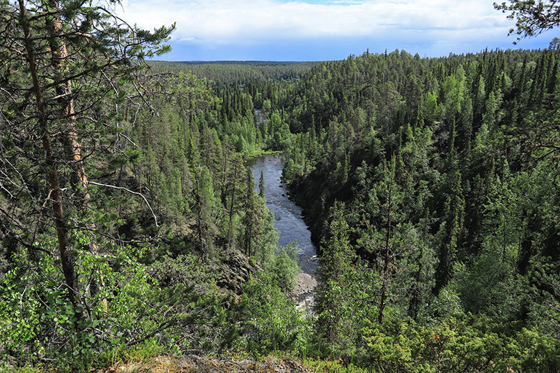 Metsien keskellä on syvä rotko, jossa on vettä.