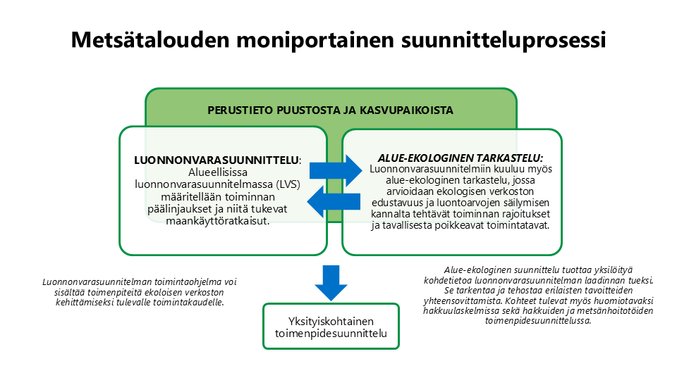 Metsätalouden moniportainen suunnitteluprosessi